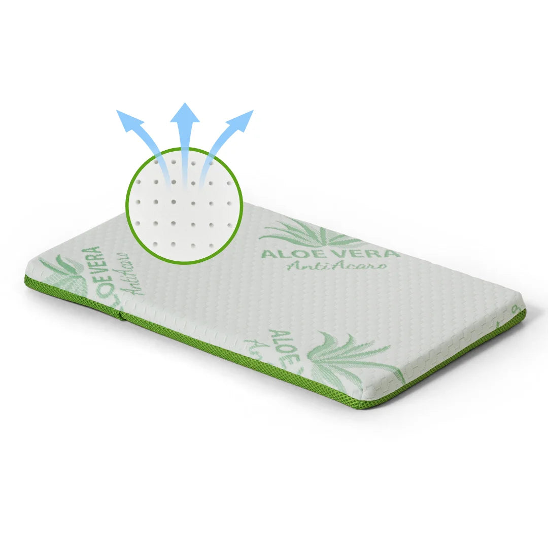 Cuscino Lettino Piatto Aloe Vera